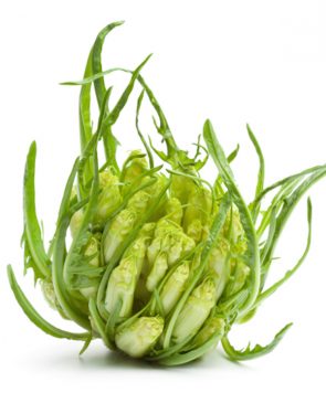 puntarelle alla crudaiola